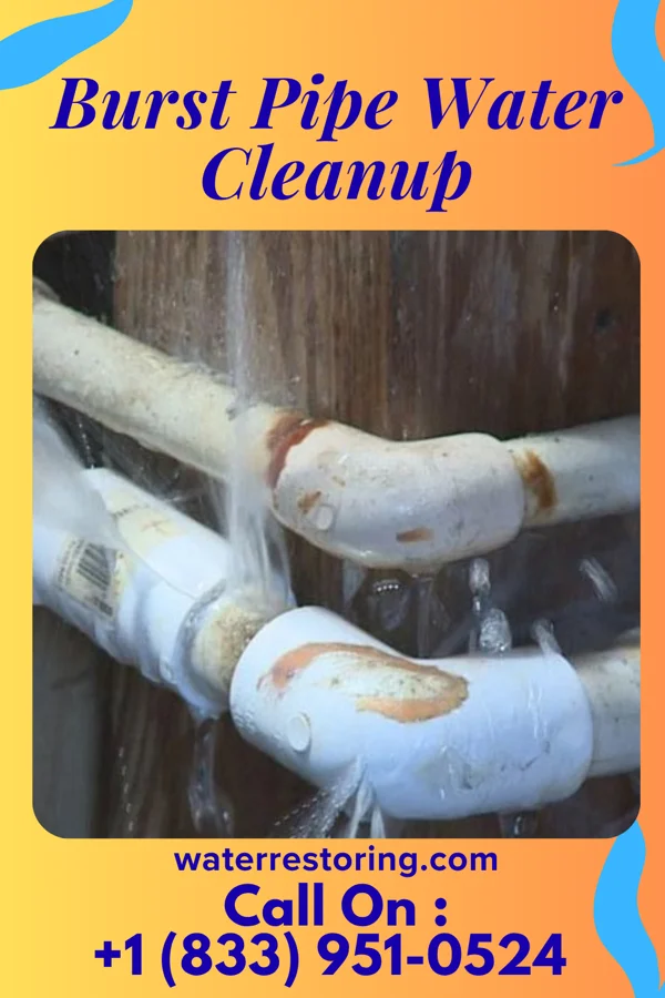 Burst Pipe Water Cleanup in Mill City, OR