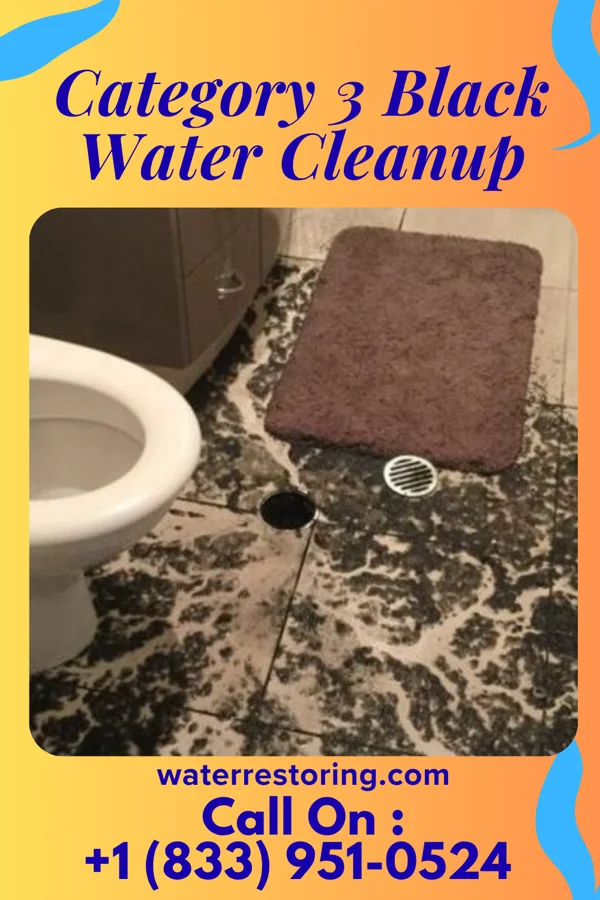 Category 3 Black Water Cleanup in Mill City, OR