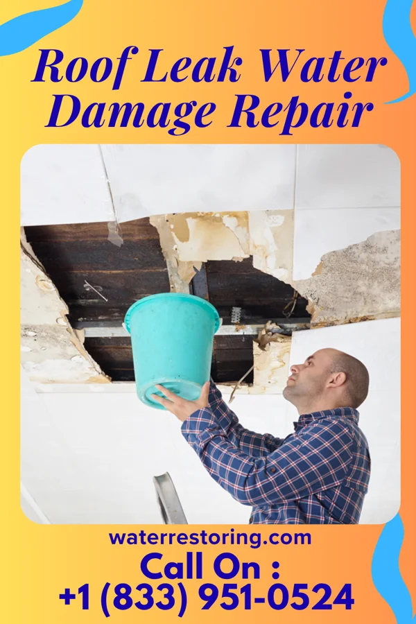 Roof Leak Water Damage Repair in Mill City, OR